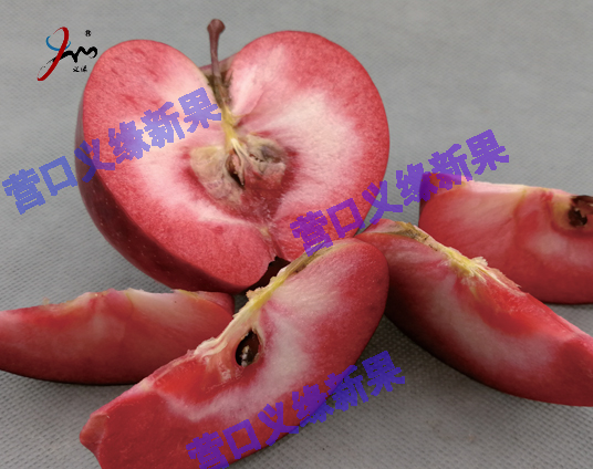 北京红色之爱（红肉苹果）鲜食品种