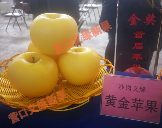 北京黄金苹果