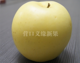 菏泽黄金苹果